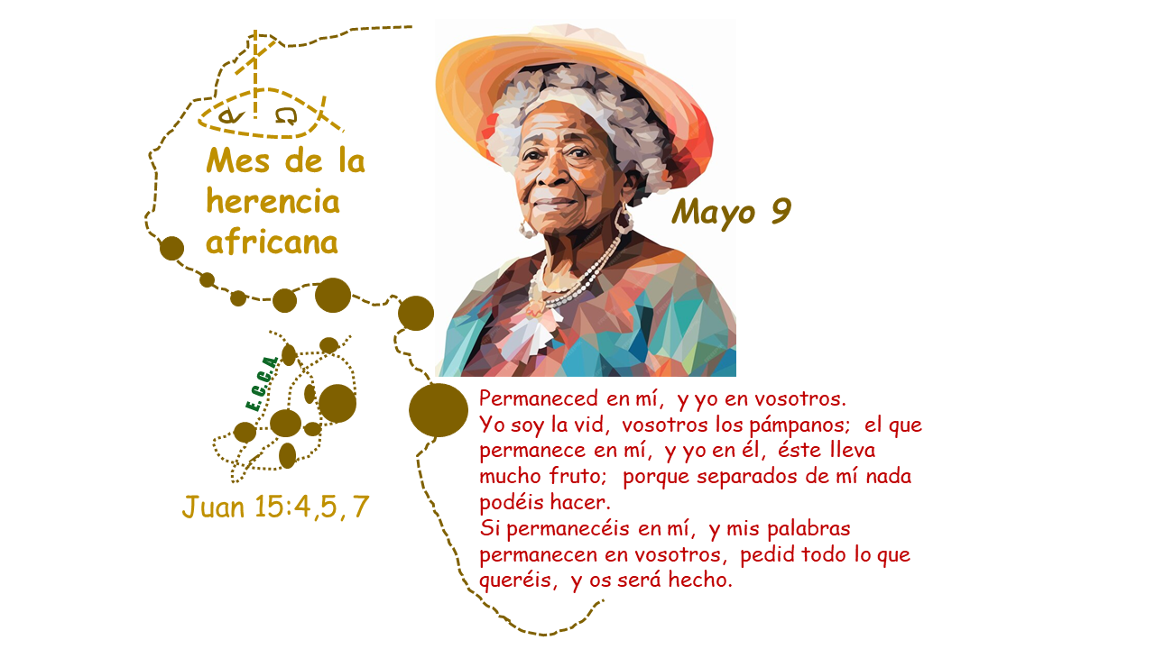 Imagen del día