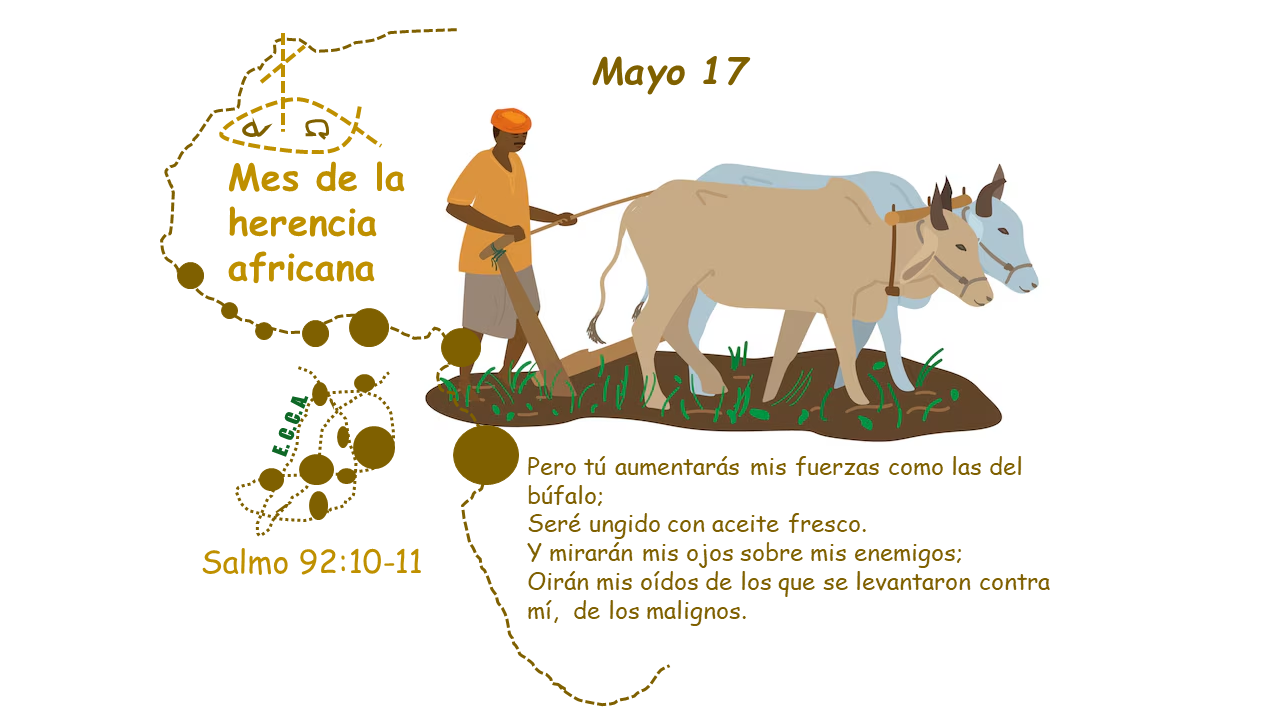 Imagen del día