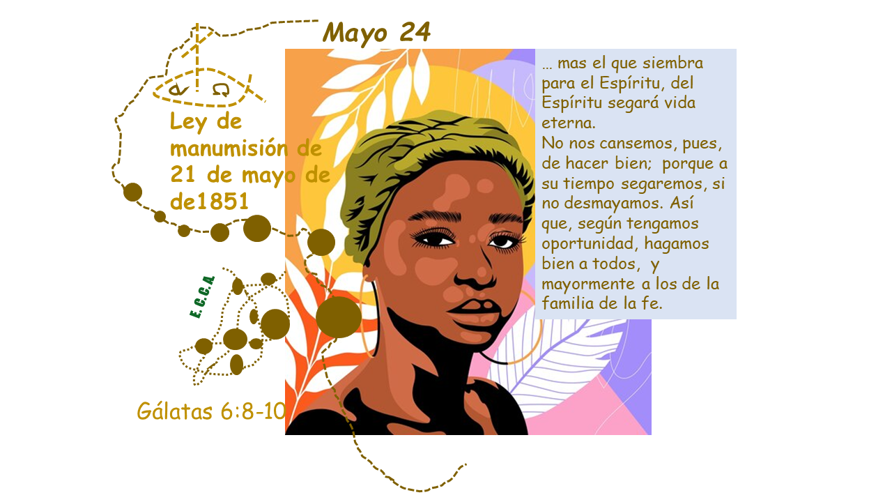 Imagen del día