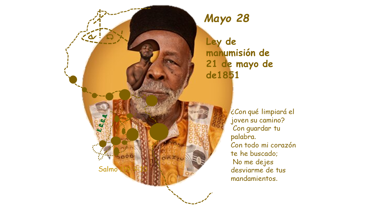 Imagen del día