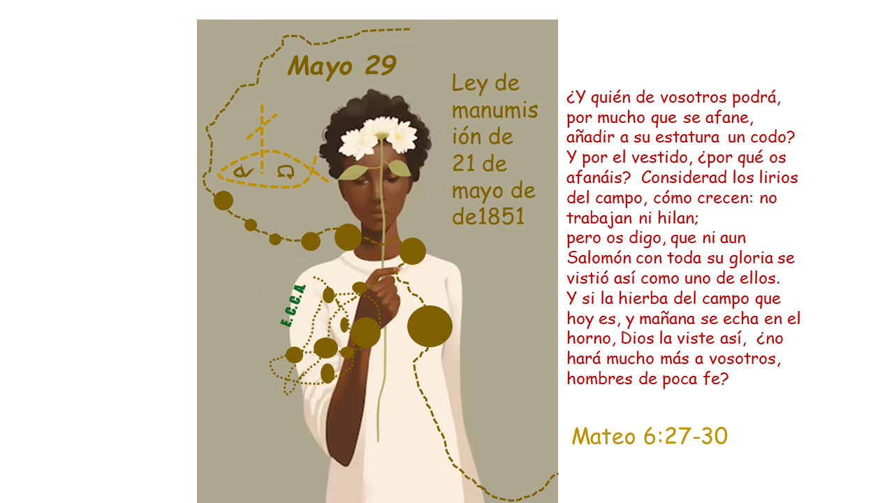 Imagen del día