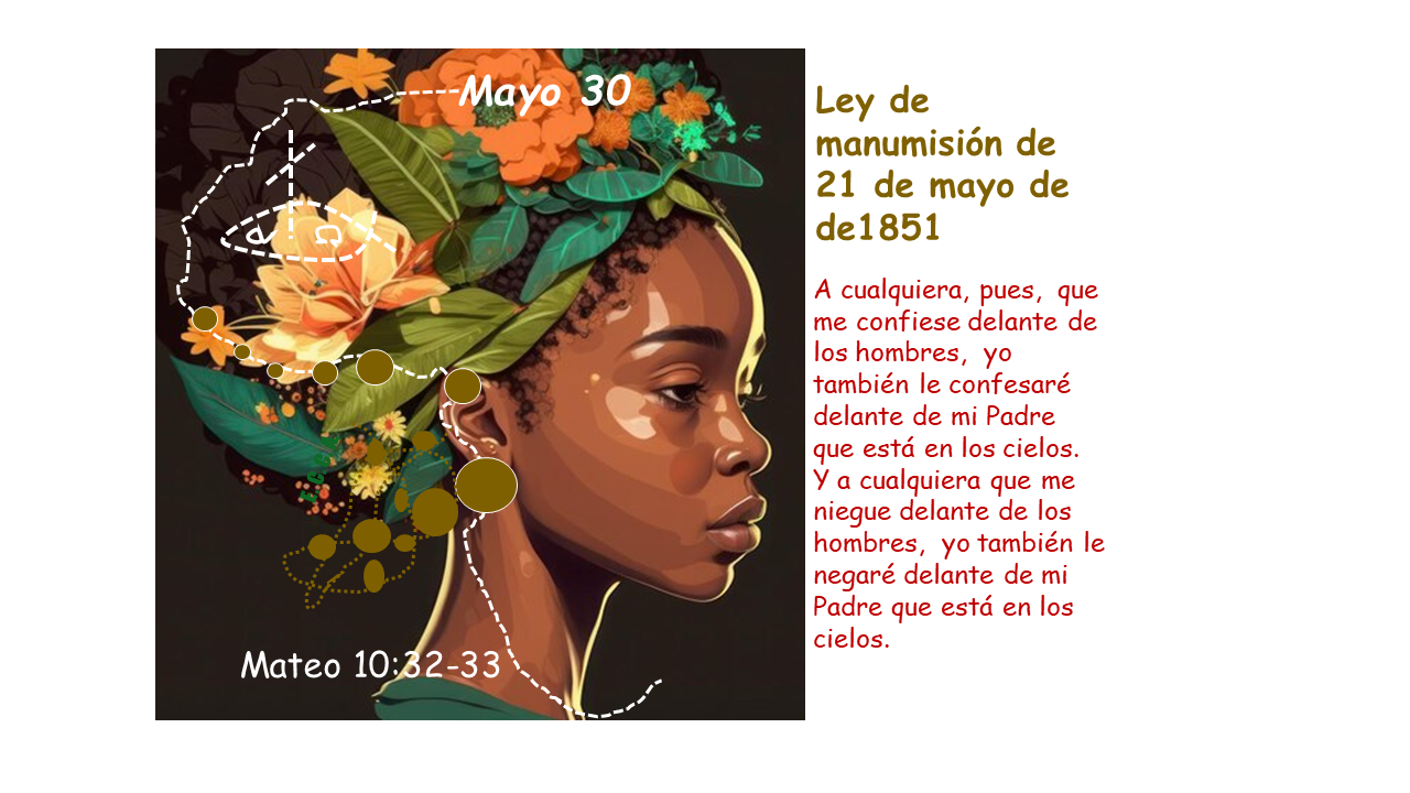 Imagen del día