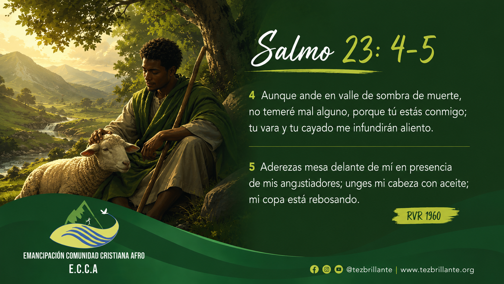 Imagen del día