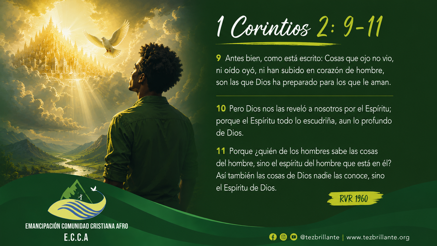 Imagen del día