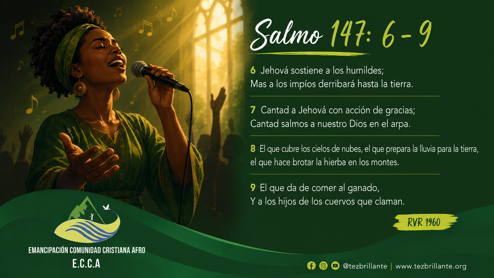 Imagen del día