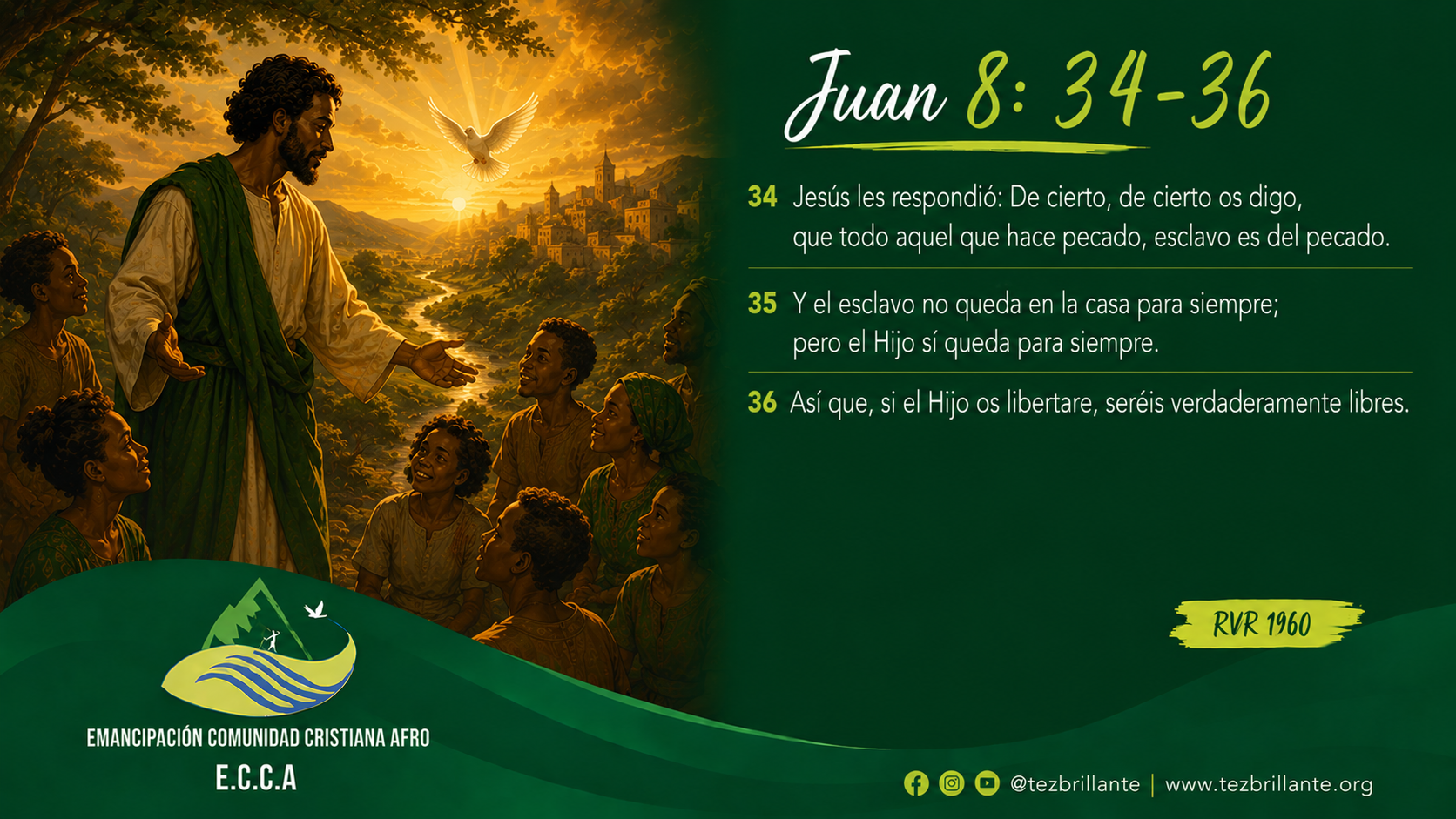 Imagen del día