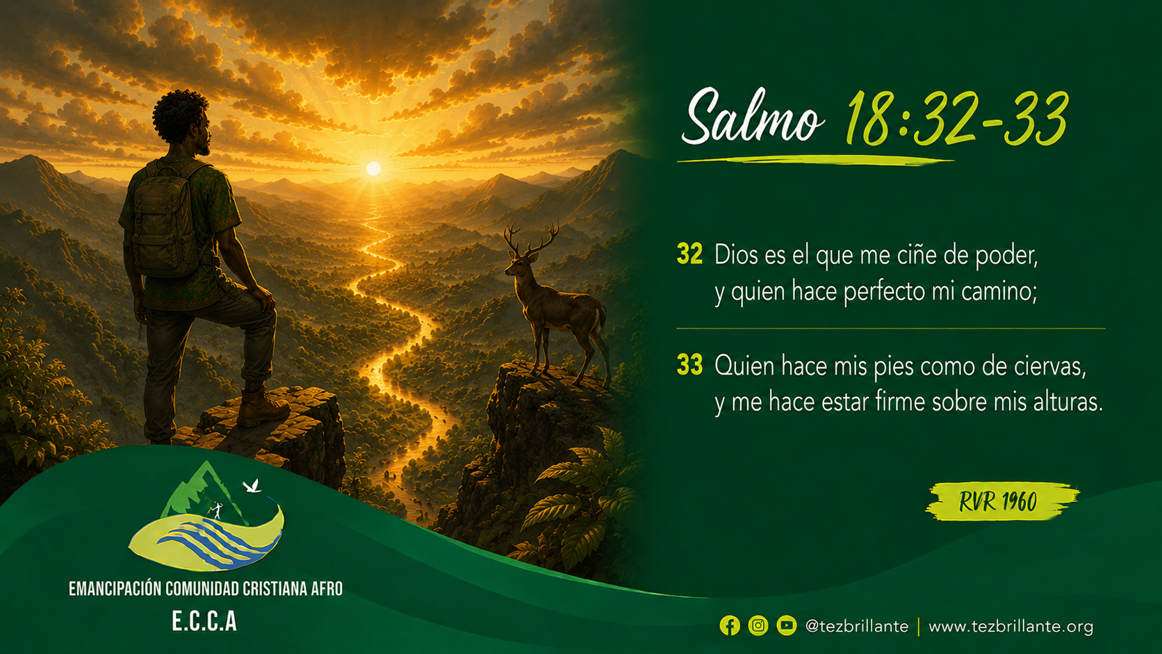 Imagen del día