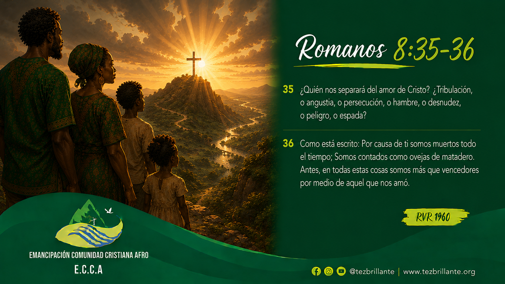 Imagen del día