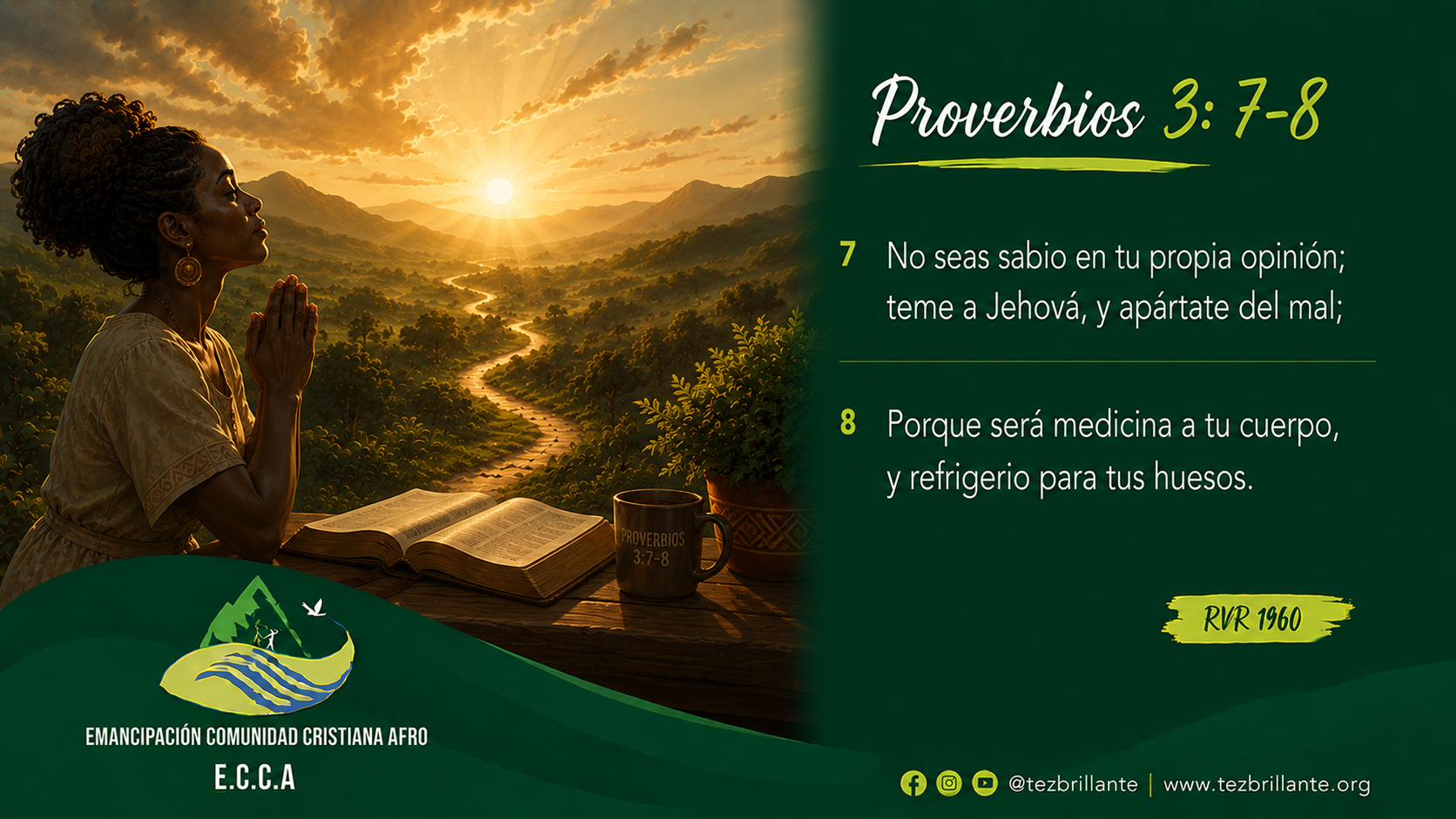 Imagen del día