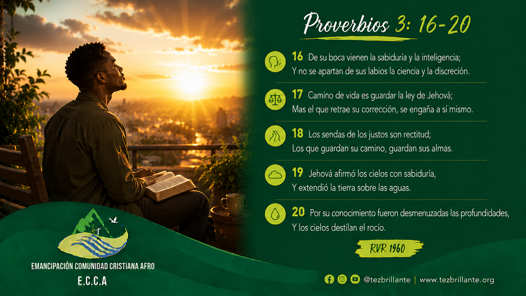 Imagen del día