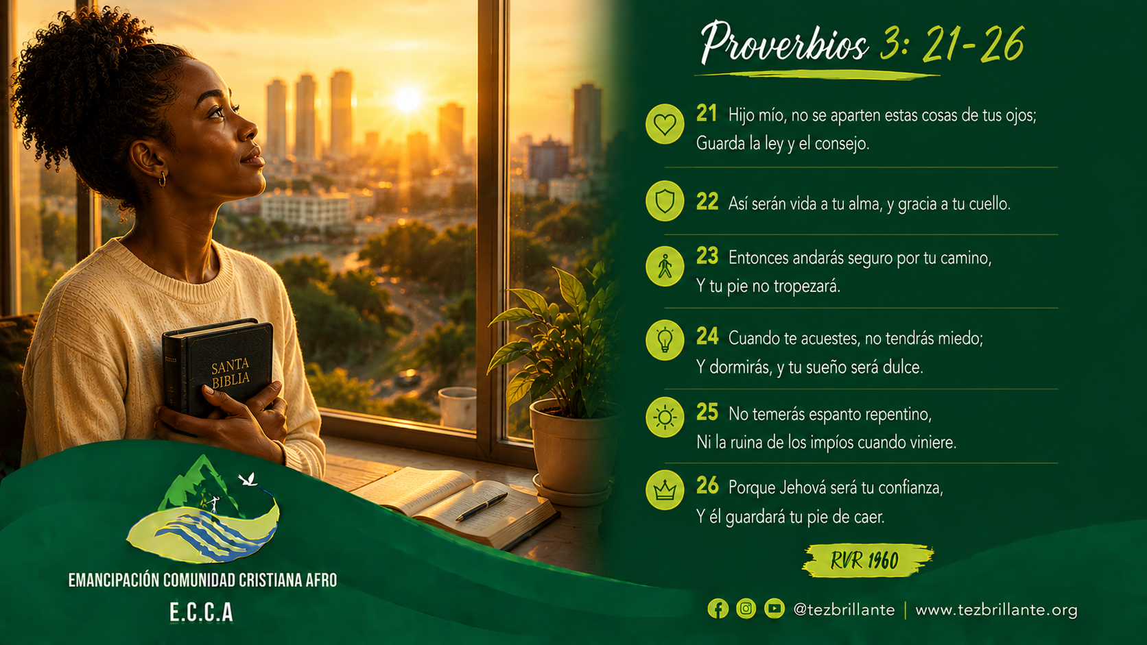 Imagen del día