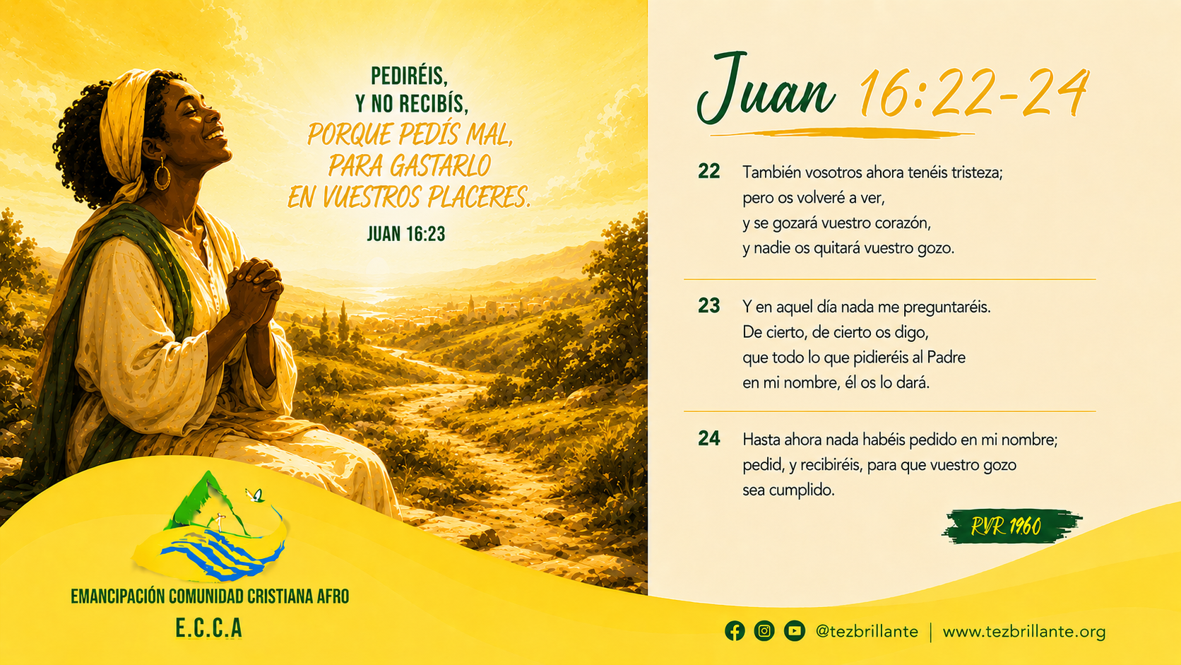 Imagen del día