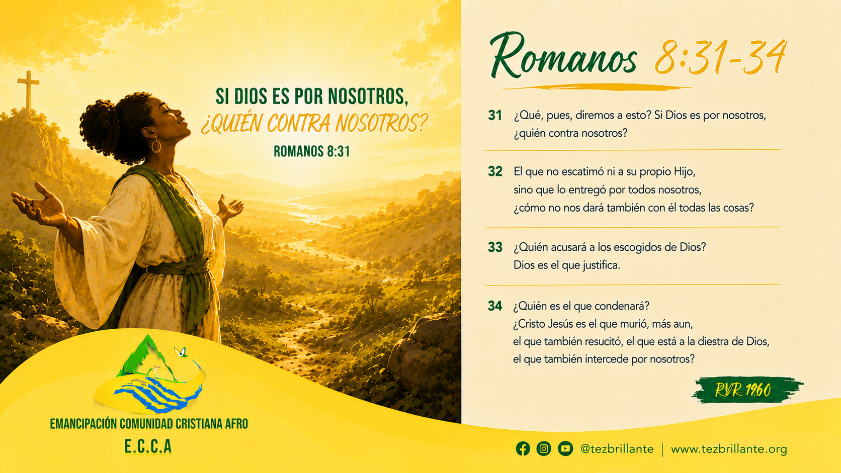 Imagen del día