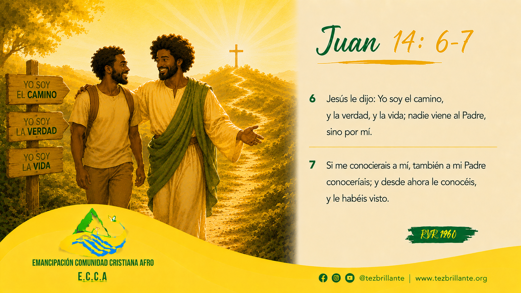 Imagen del día
