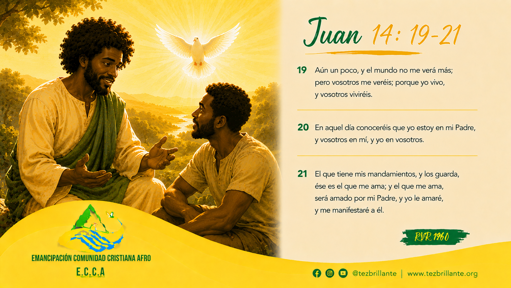 Imagen del día