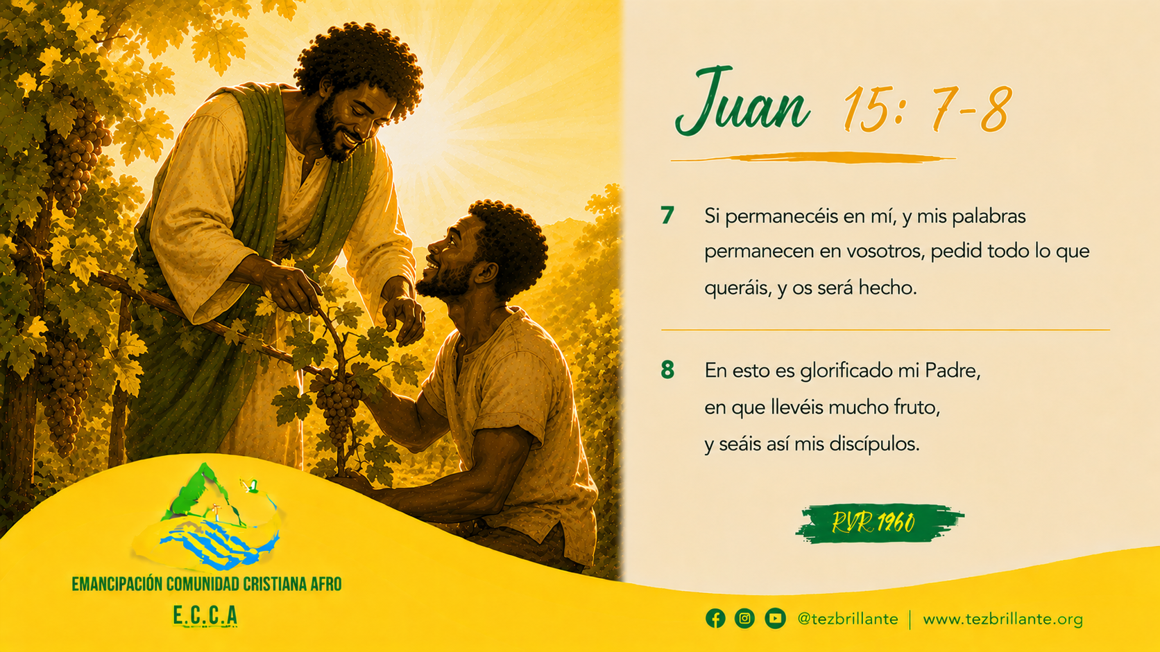 Imagen del día