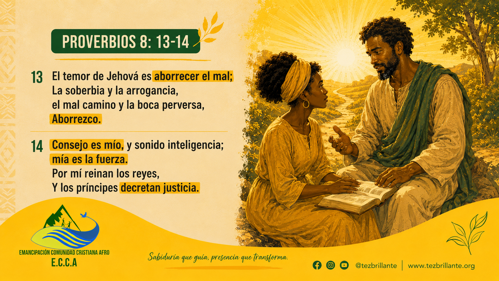 Imagen del día