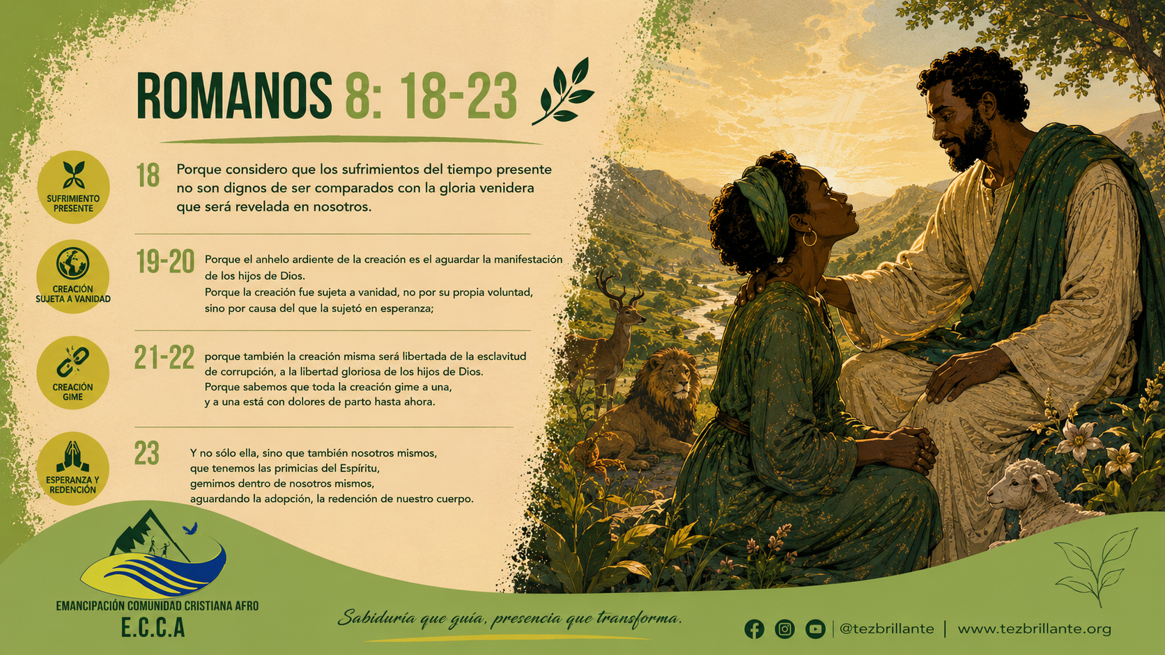 Imagen del día