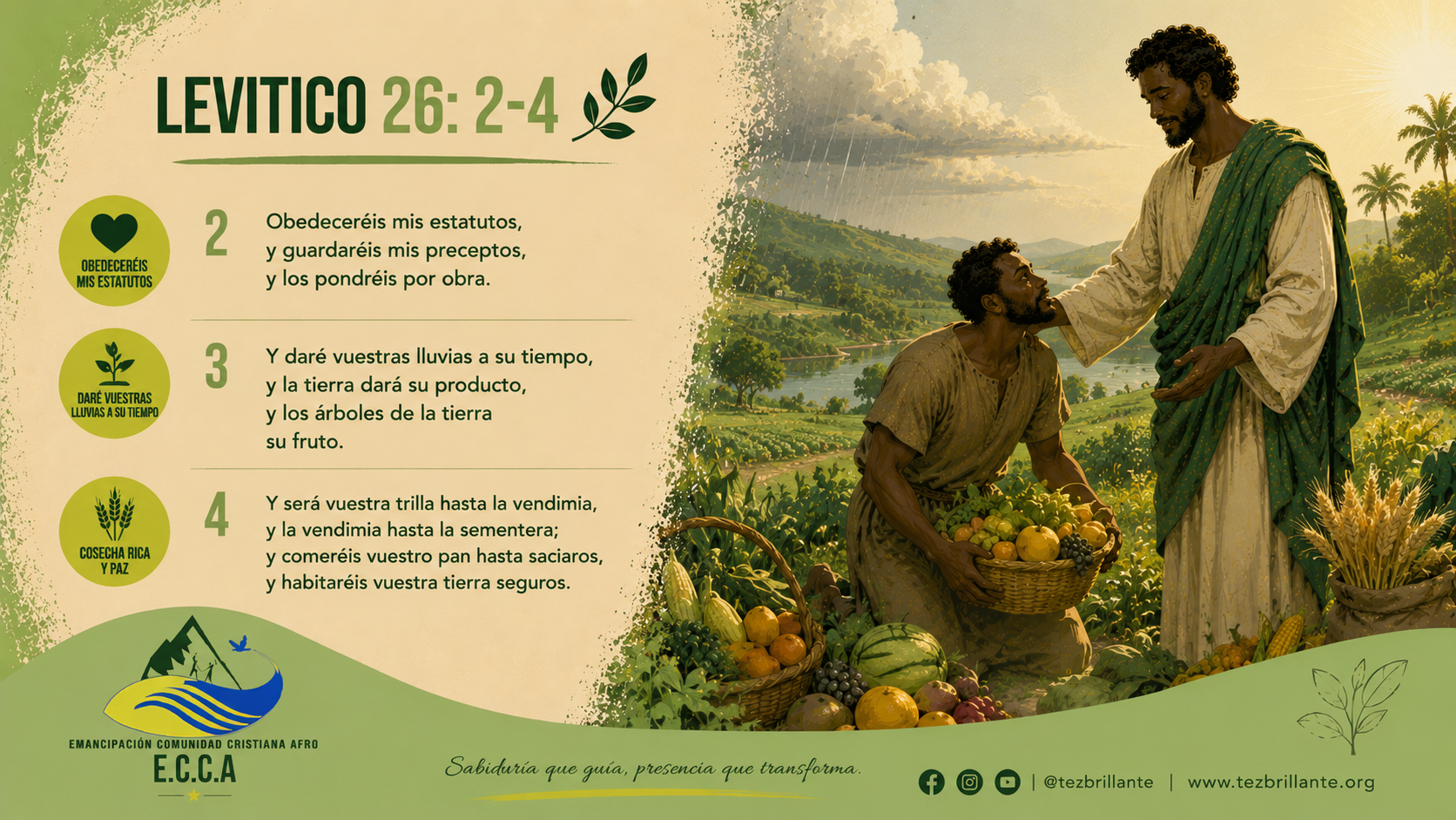 Imagen del día