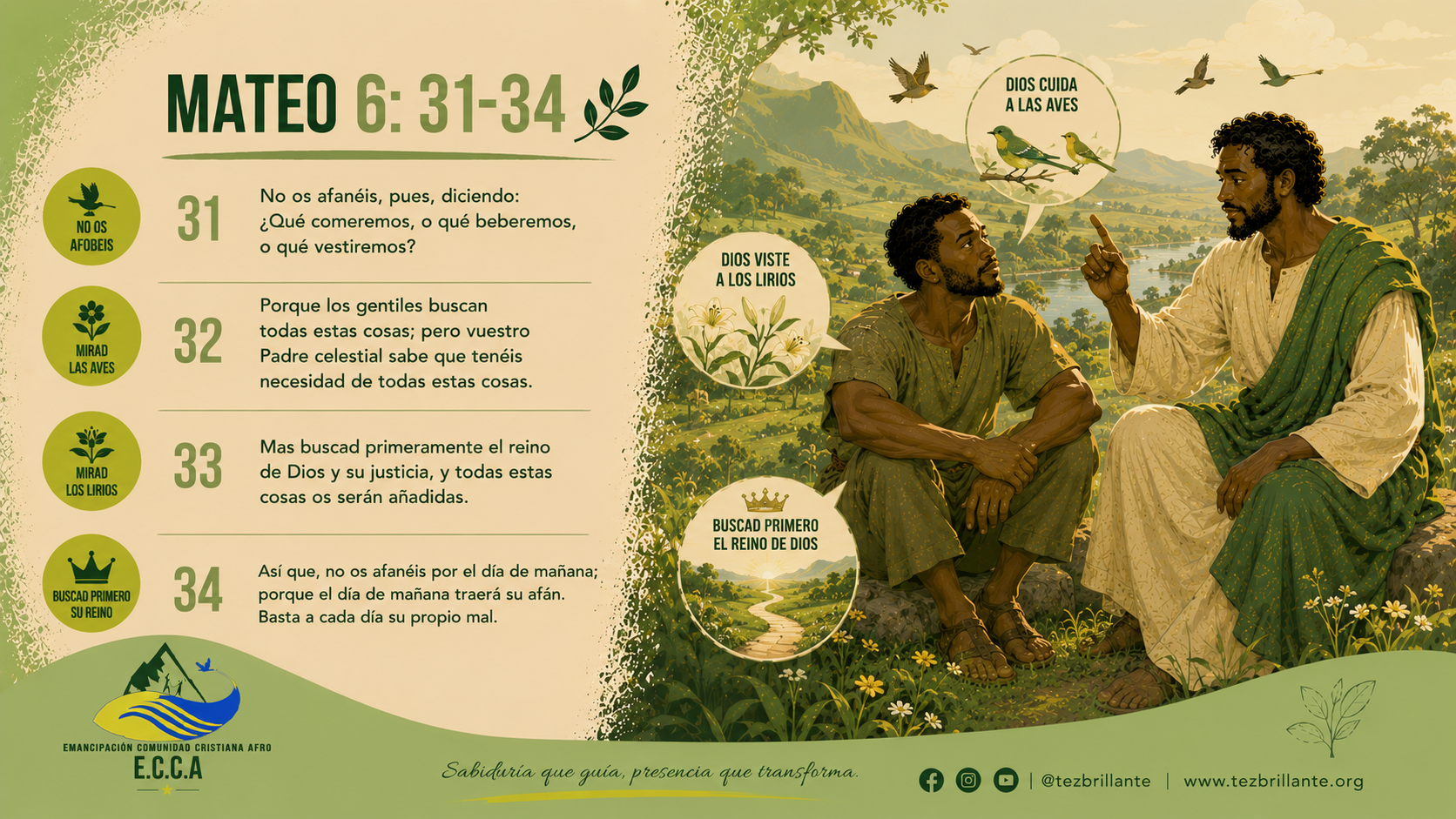 Imagen del día