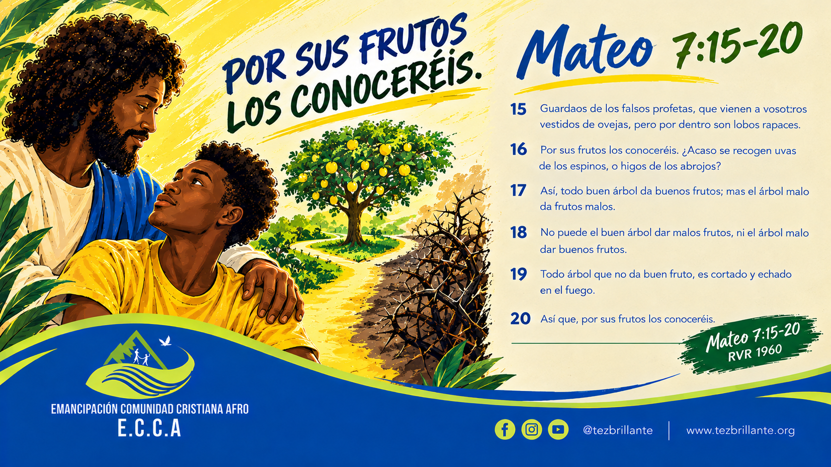 Imagen del día